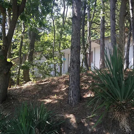 Kamp alanı Letovishte Romantika